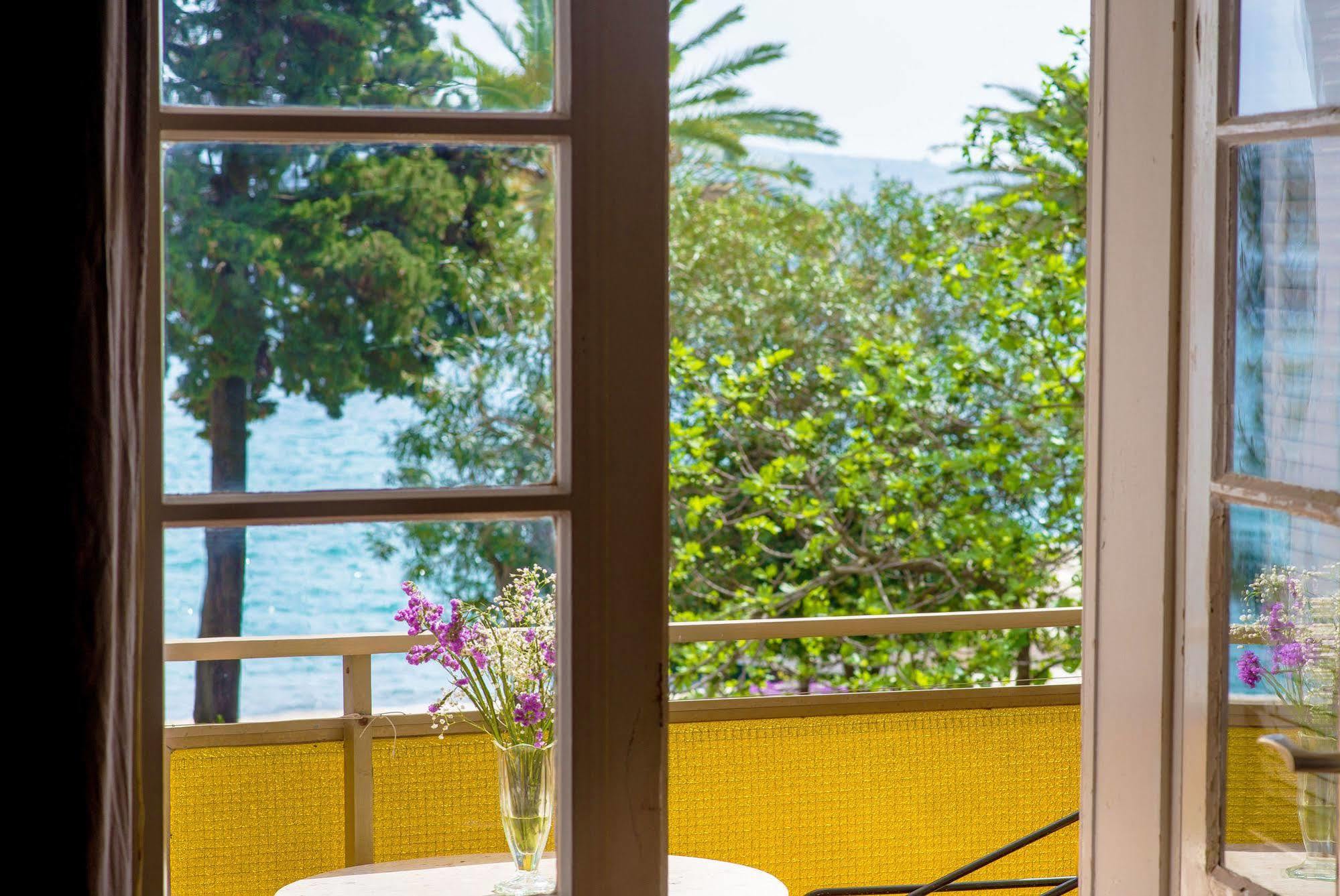 Hotel Mimoza Tivat Exteriér fotografie